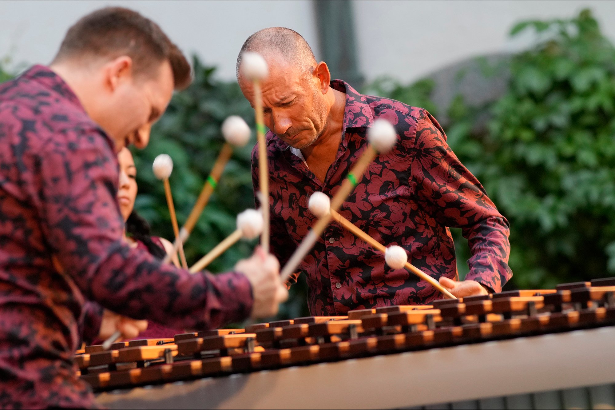 The Wave Quartet © Reinhard Winkler