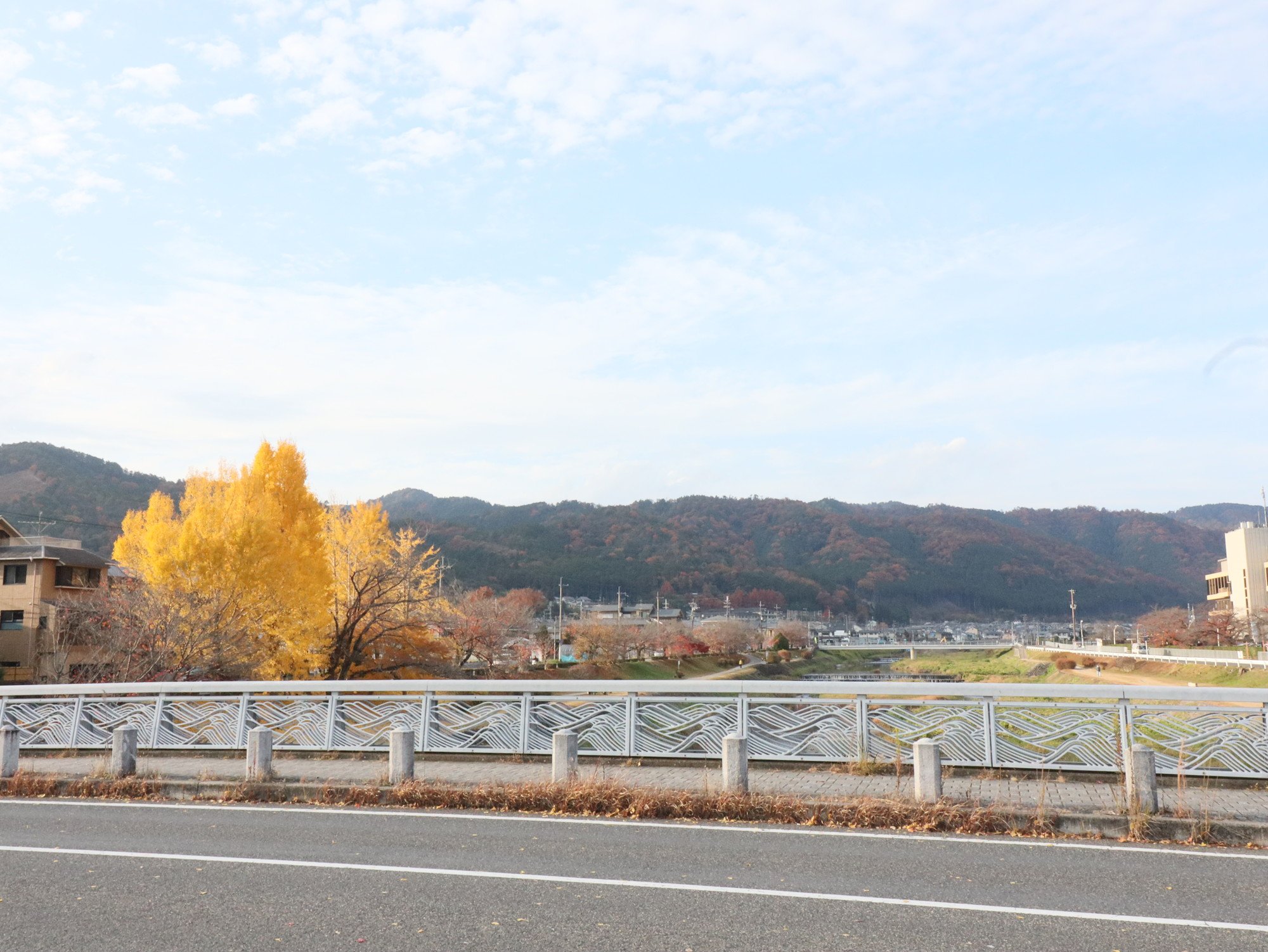 西賀茂橋（690ｍ）からの眺め