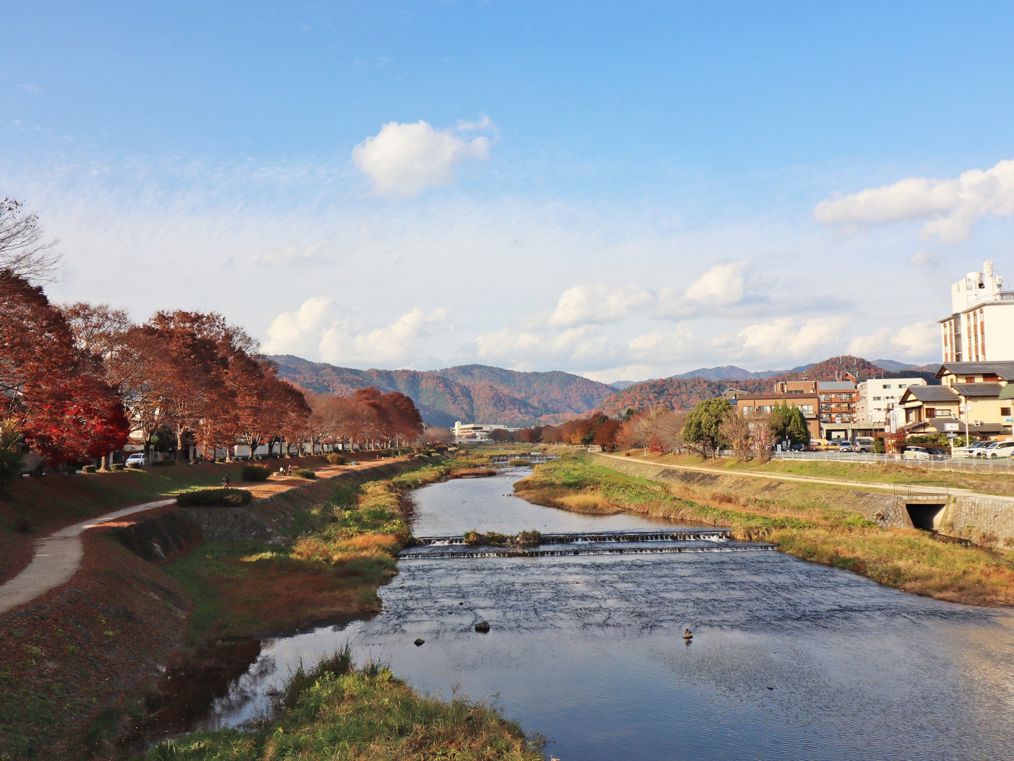 御薗橋（680ｍ）からの眺め