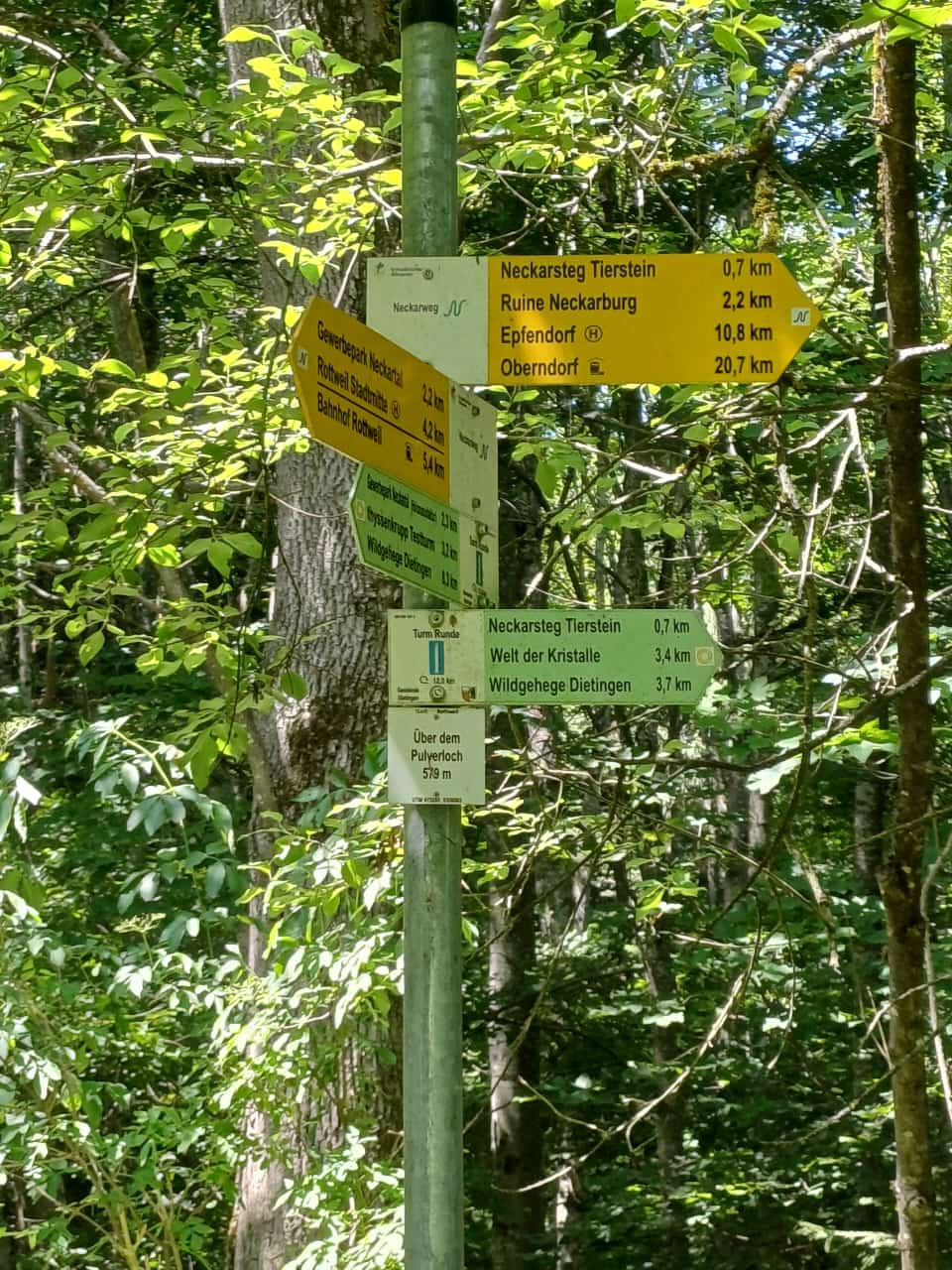 Gym-Mix 2024 Wanderung