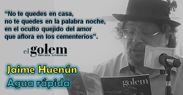 Poemas de Jaime Huenún