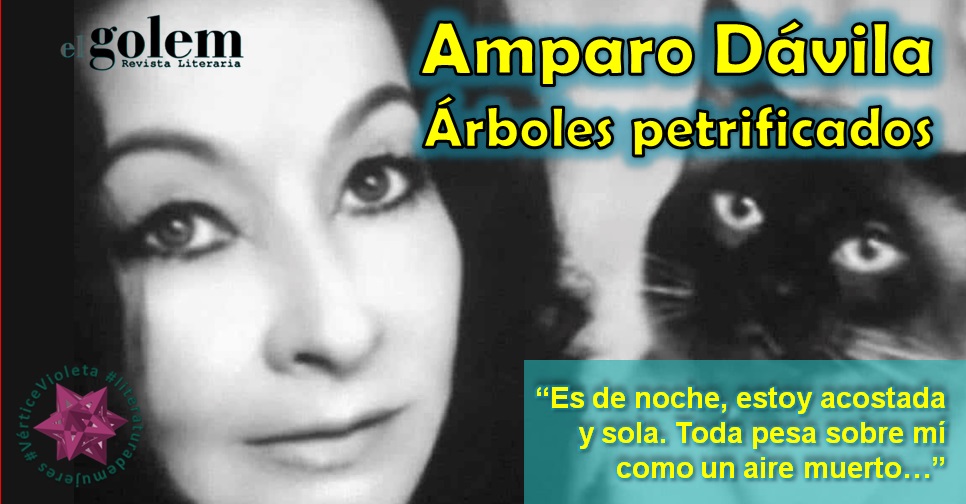 Relato de Amparo Dávila