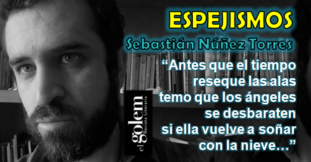 Poesía de Chile: Sebastián Núñez Torres
