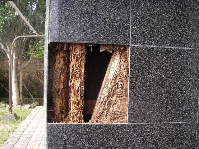 雨漏りによる被害