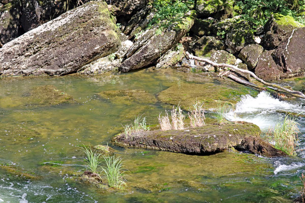 La Goule, im Vallée du Doubs