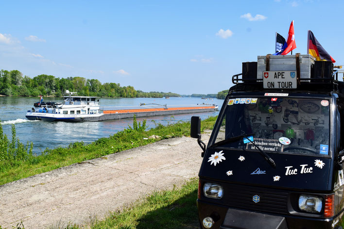 Ape on tour