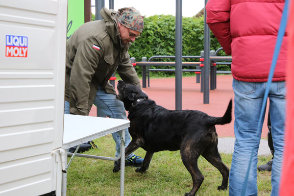Ape-Treffen in der Ortenau 2023