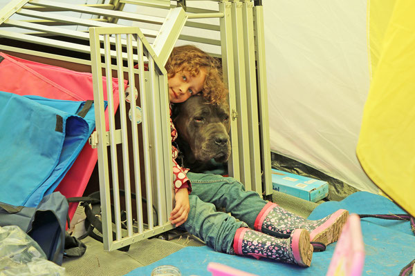 Ape Treffen Ortenau 2019