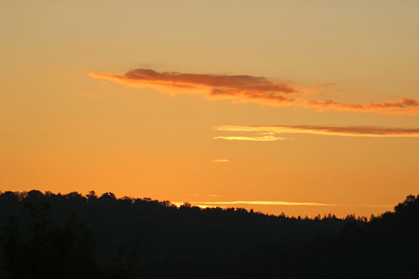 PPOW Ape-Treffen in Herznach 2019