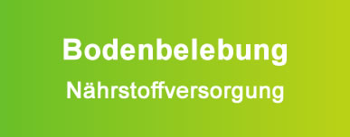 Bodenbelebung - Nährstoffversorgung
