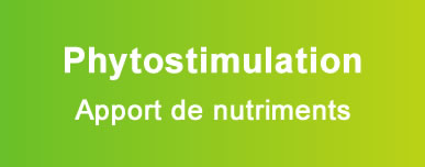 Phytostimulation - Apport de nutriments
