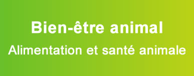 Bien-être animal - Alimentation et santé animale