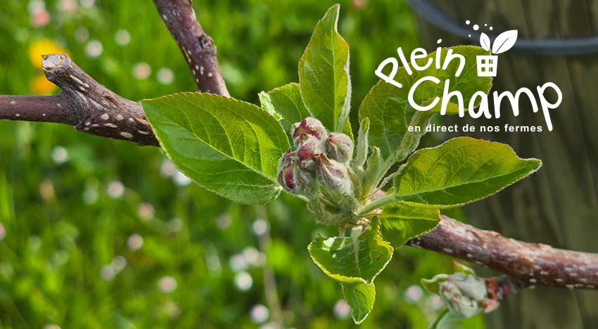 Actus du mois d'avril