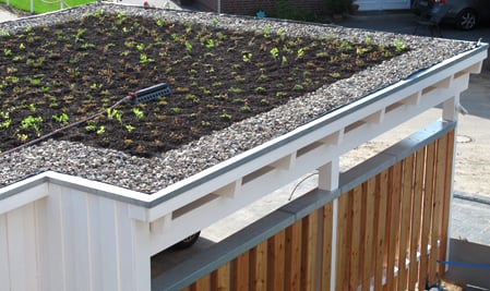 Carport mit Gründach