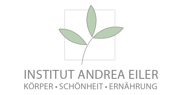institut-andrea-eiler-linz-leonding-logo