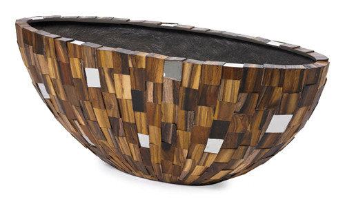 Forest Oval Plants first Choice