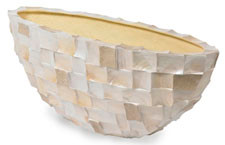 Ocean Oval Plants first choice