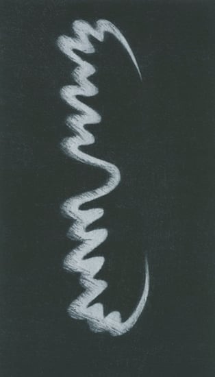 Geweih II, 2010 | Mezzotinto, Druck von einer Kupferplatte 15 x 26 cm, Blattgrösse 38 x 53 cm, Zerkall Bütten 250 g/m2 