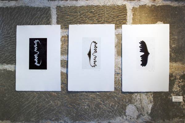 Geweih. Gutenberg Museum, Schweizerisches Museum der grafischen Industrie und der Kommunikation, Fribourg, Schweiz, 2011 | Foto: Lucas Kunz