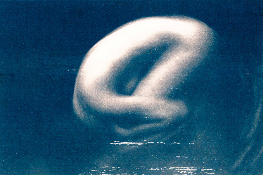 Julia III 2007 | Cyanotypie auf Fabriano Büttenkarton 300 g/m2, Bildgrösse 28,5 x 19 cm, Blattgrösse 39,5 x 30 cm. Auflage: Drei Exemplare