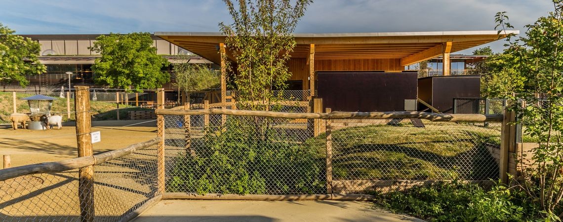 Der Therapie-Tiergarten des REHAB Basel