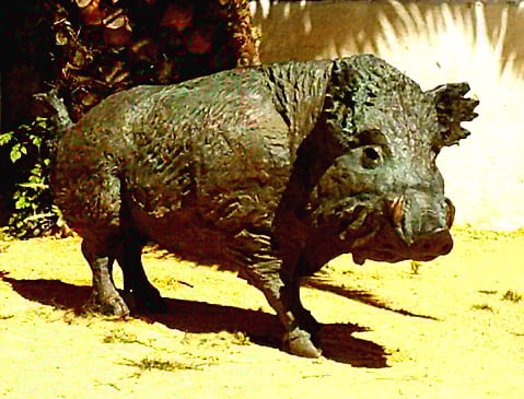 Cochino grande. 100x70x110 cm