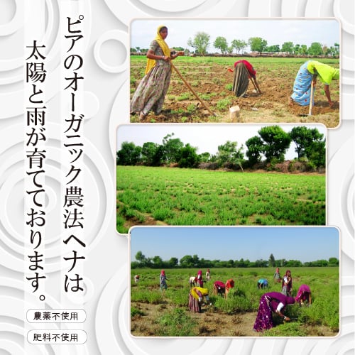 ヘナ　オーガニック