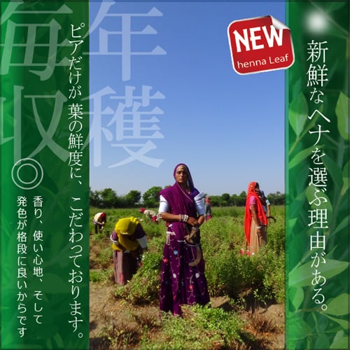 ヘナ　新鮮