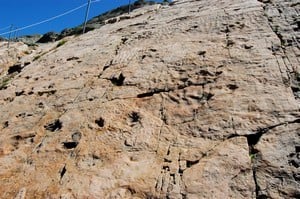 ont laissé leurs traces dans le sable maintenant fossilisé