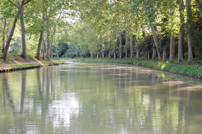 1001 découvertes: Le canal de Midi