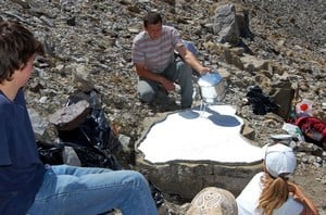 moulage des traces -museum de Genève