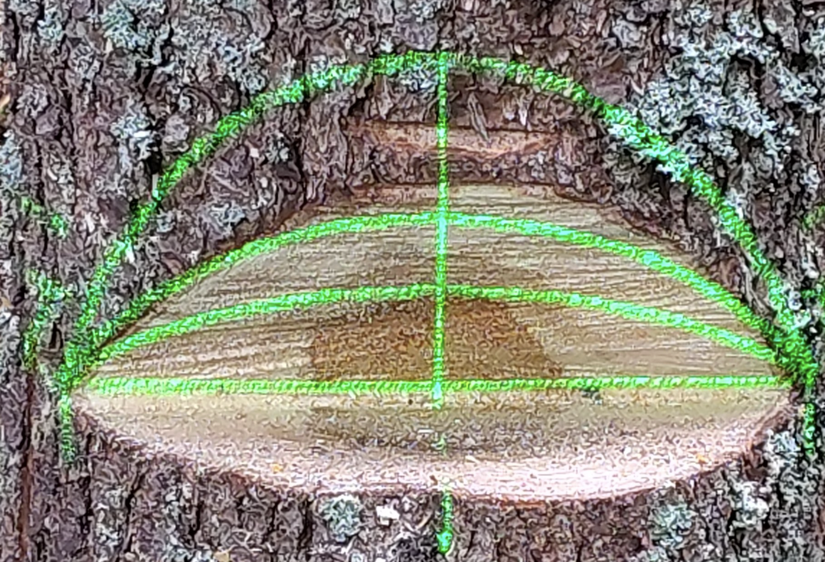 TOYOTA Developed a laser mapping machine for log felling training