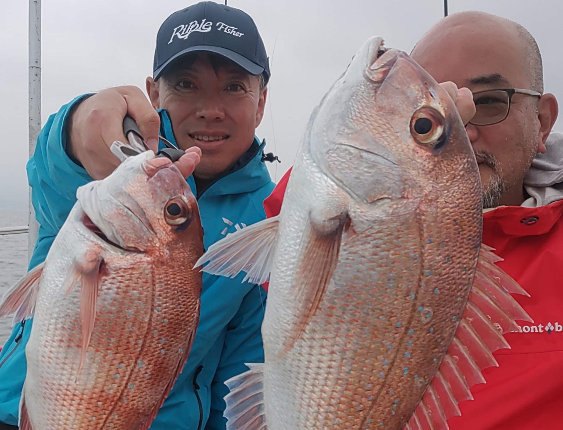 11月17日　青物 鯛＆カワハギ　釣果