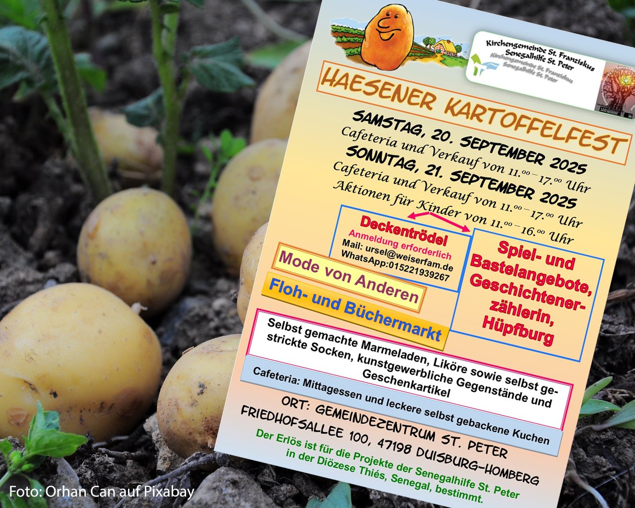 Haesener Kartoffelfest in St. Peter