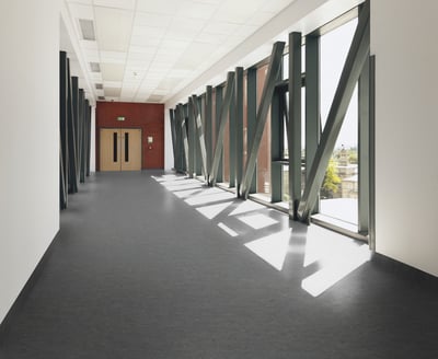 Linoleum Uni Walton DLW Forbo Tarkett Vinyl Parkett Weber Bonn Köln