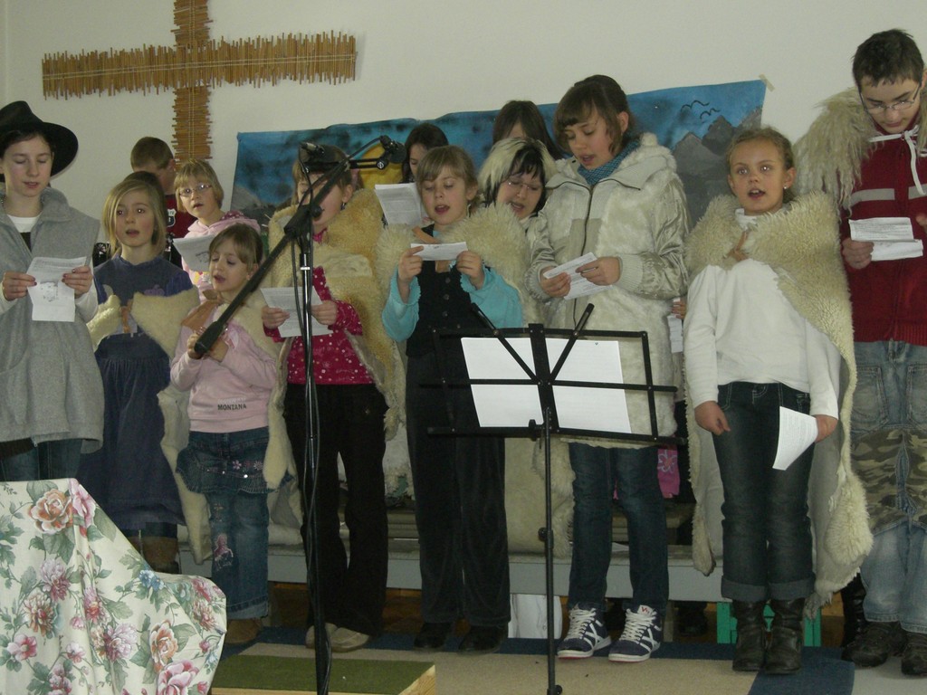 Echt Schaf - volle Wolle toll!