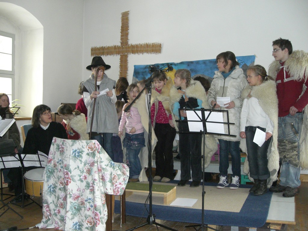 Schon wieder Schafkontrolle!