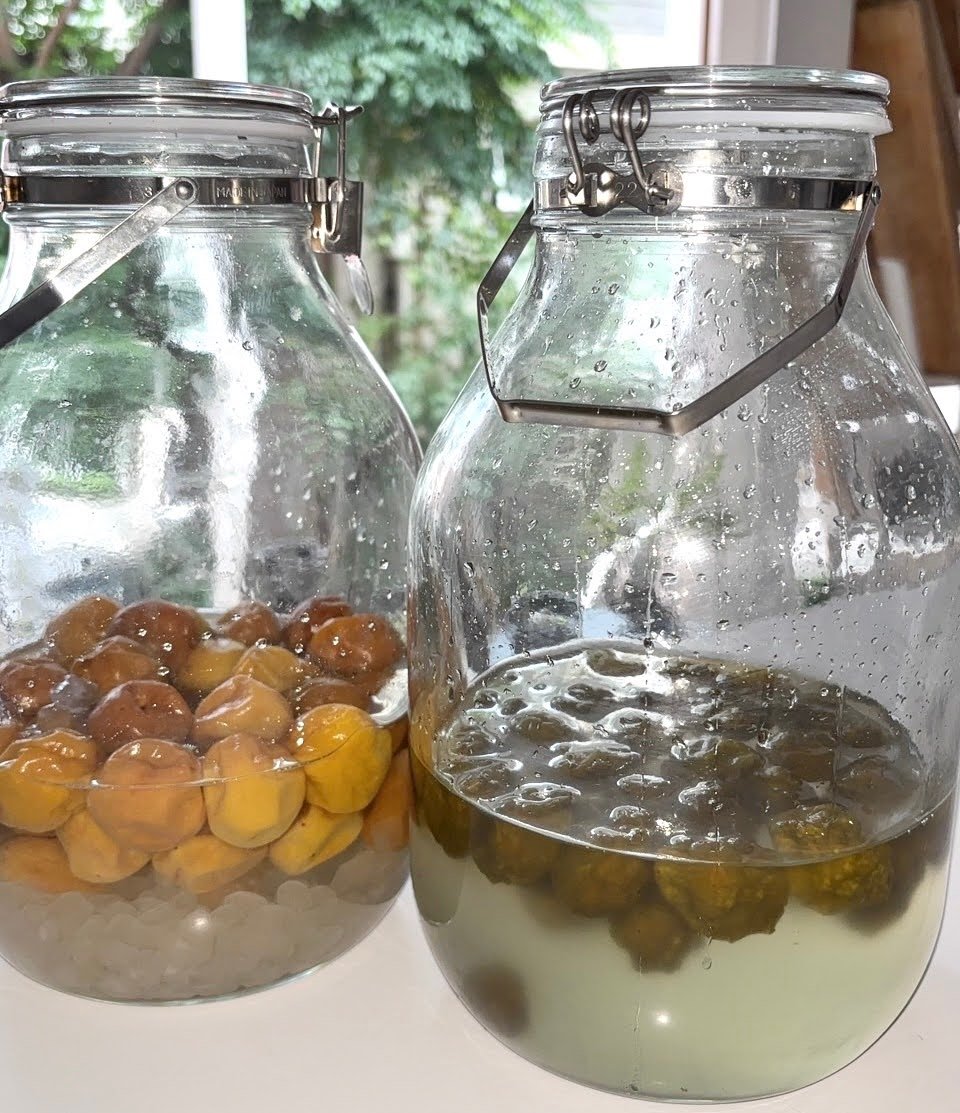 6月 梅ジュース