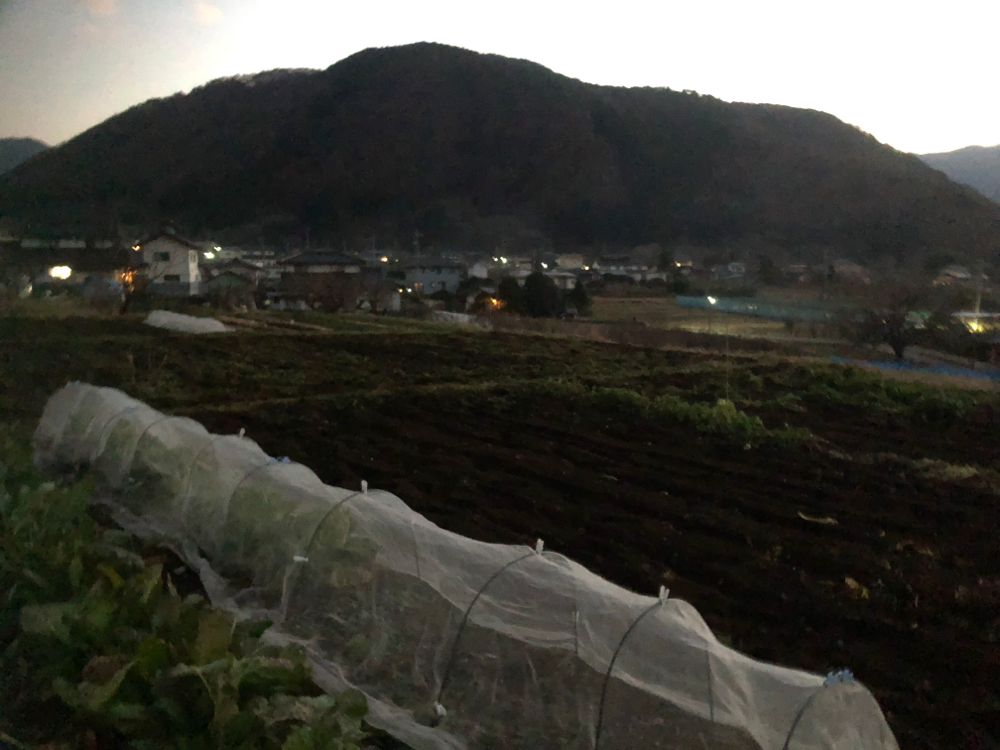 真っ暗になる前になんとか終了