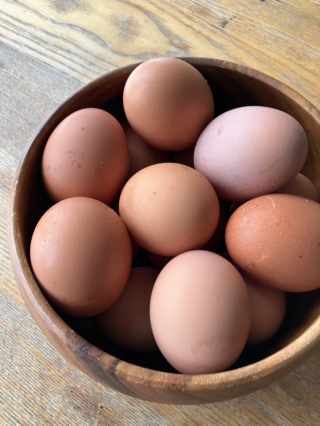 今年もよろしくお願いします