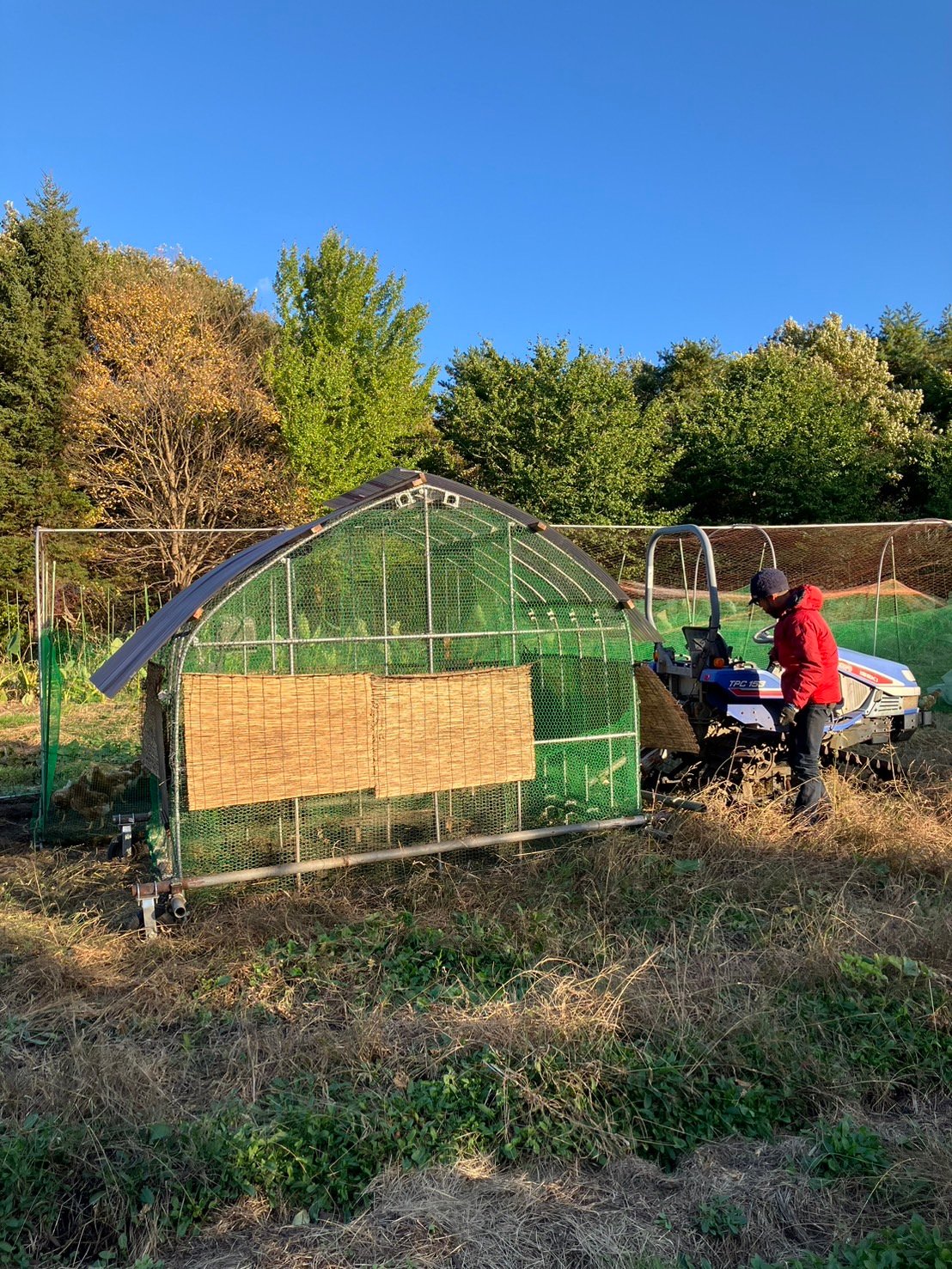 チキントラクター