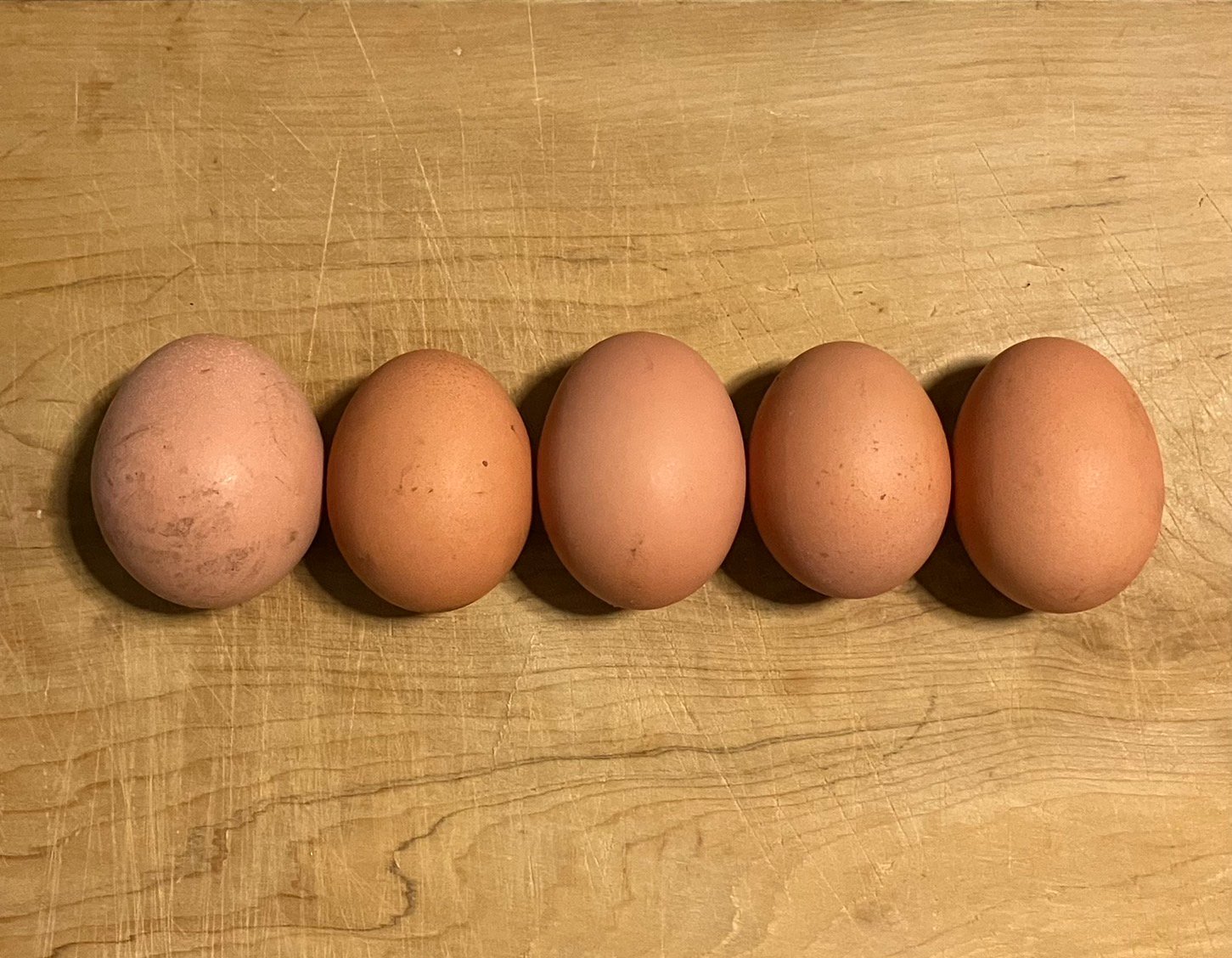 ふぞろいでもおいしい卵