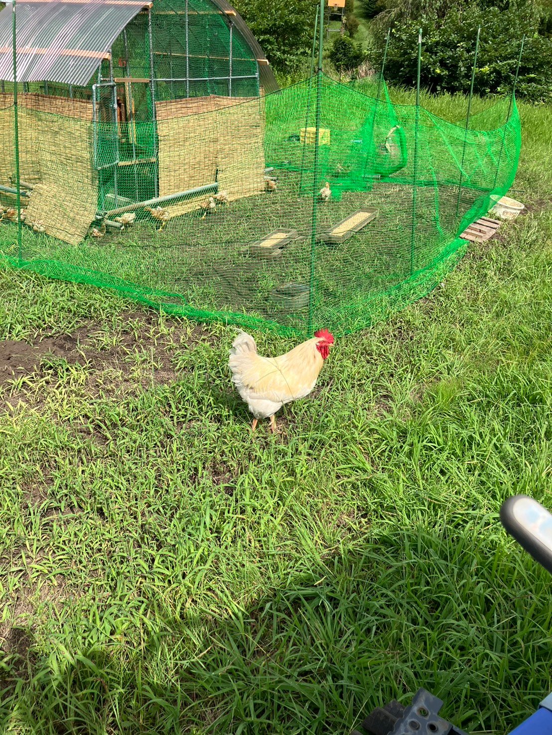 あっという間にお盆も過ぎて