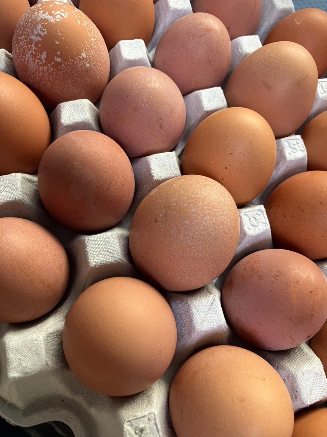 卵まとめ買いできますよ