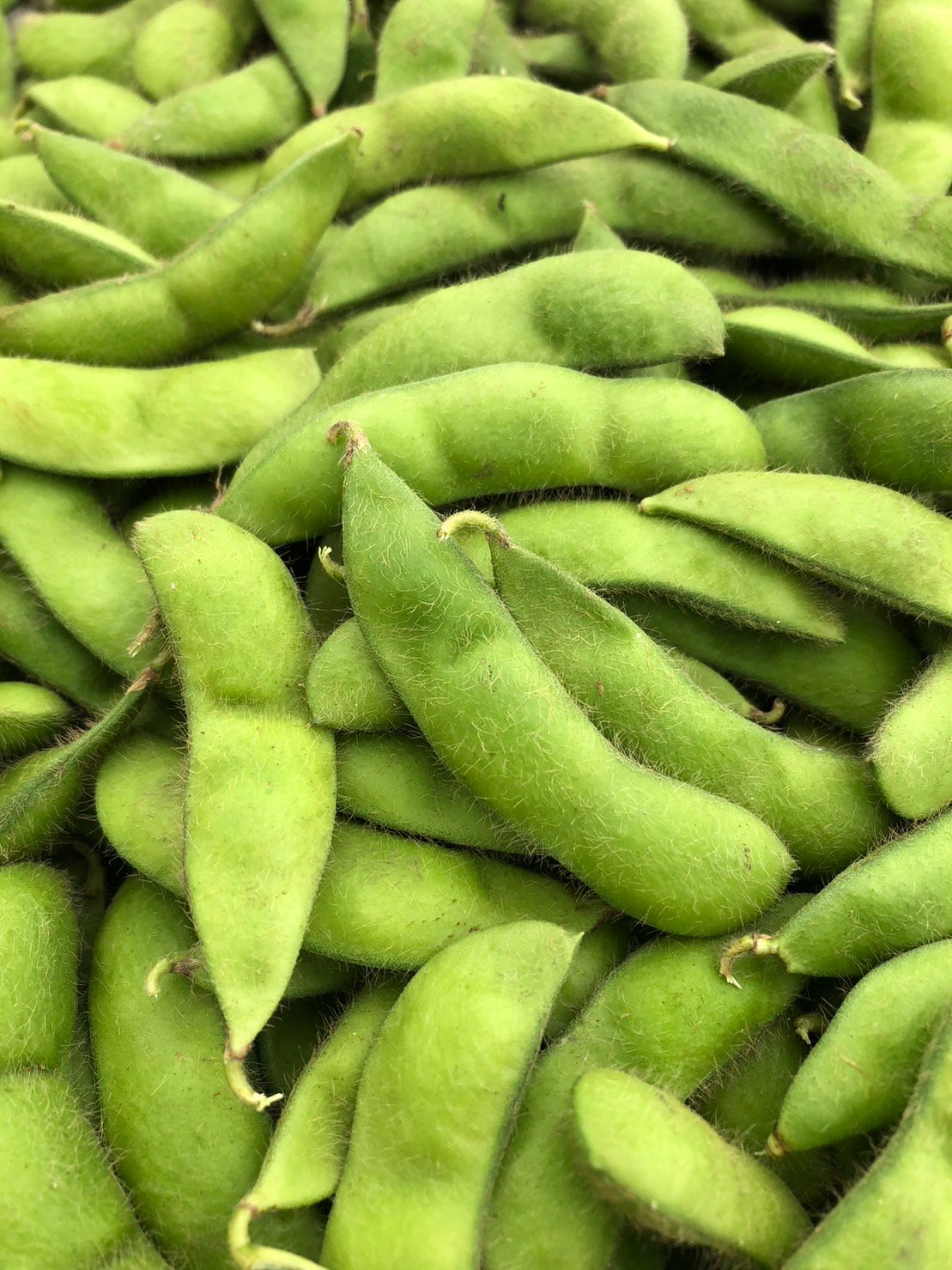 食欲の秋にもぴったりな枝豆