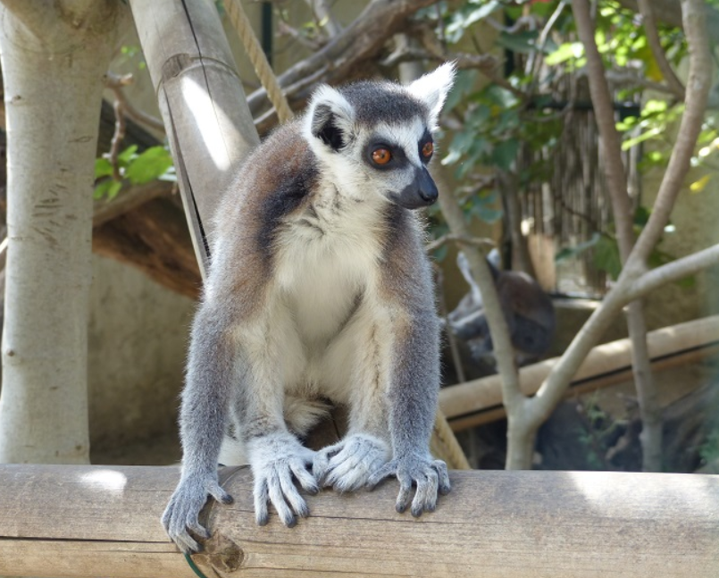 Parc animalier et exotique Zoa Sanary sur Mer