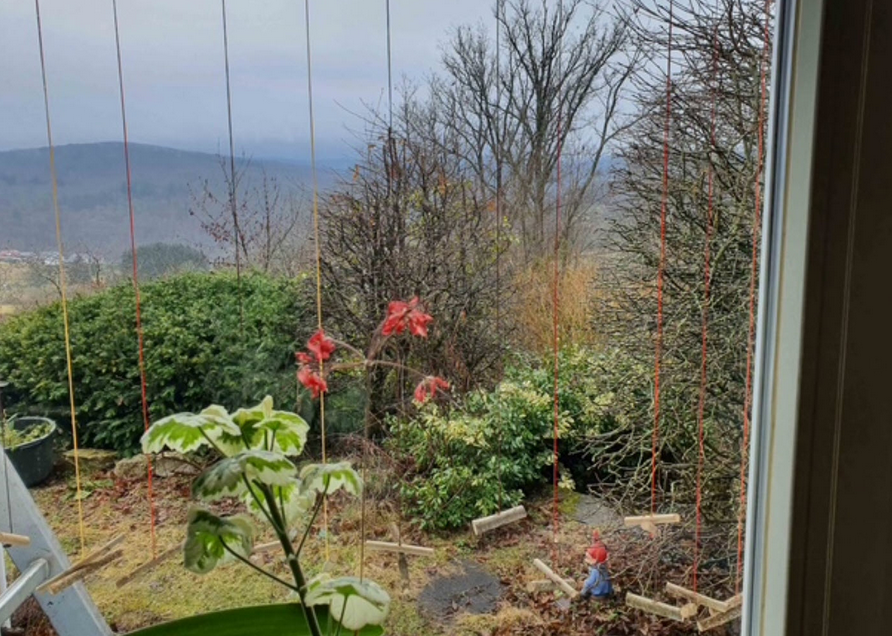 Ein praktisches Beispiel für einen Schnurvorhang.