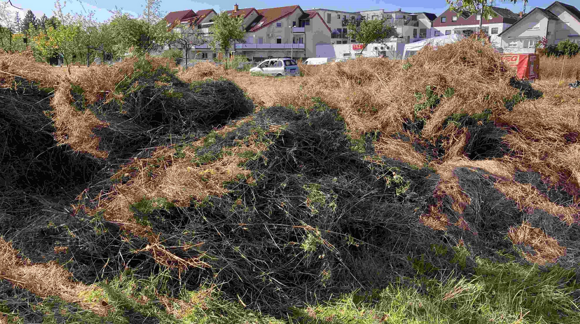 Das Ergebnis kann sich sehen lassen: ein riesiger Heuhaufen
