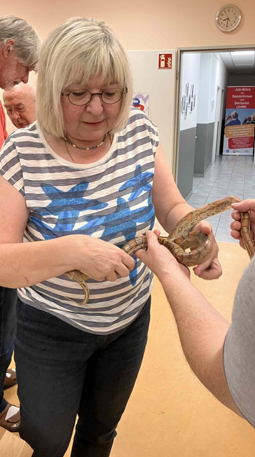 Sie fühlt sich trocken, glatt und etwas kühl an.