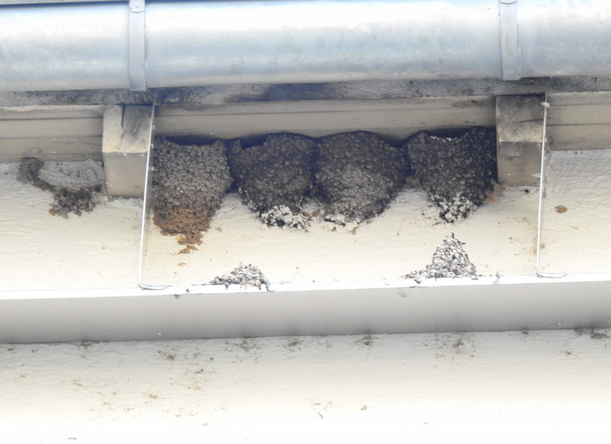 Kotbretter verhindern die Verschmutzung von darunter liegenden Fenstern und Fensterbrettern.